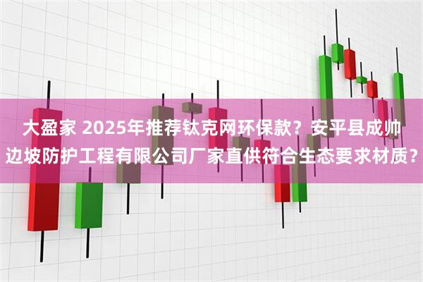大盈家 2025年推荐钛克网环保款？安平县成帅边坡防护工程有限公司厂家直供符合生态要求材质？