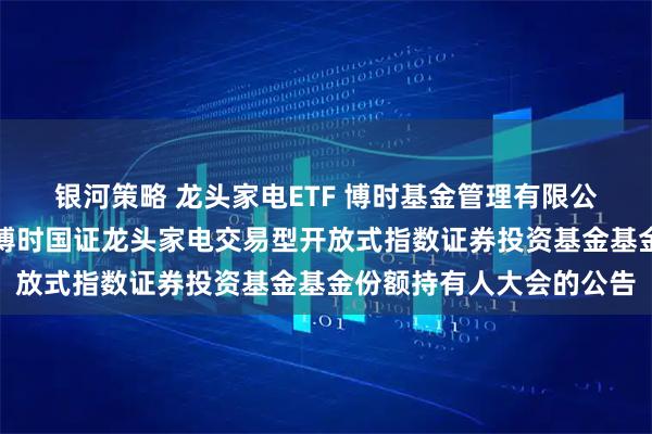 银河策略 龙头家电ETF 博时基金管理有限公司关于以通讯方式召开博时国证龙头家电交易型开放式指数证券投资基金基金份额持有人大会的公告
