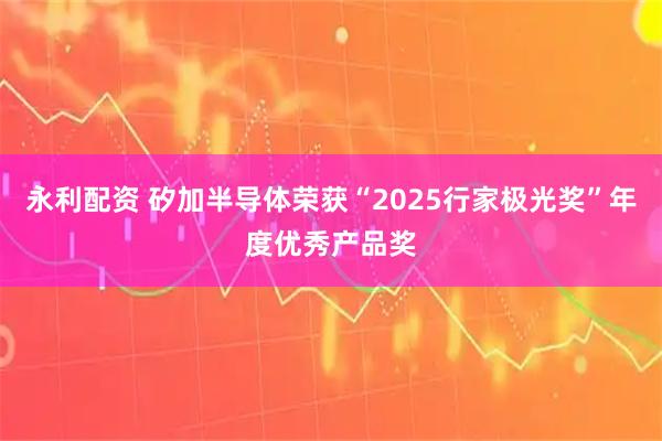 永利配资 矽加半导体荣获“2025行家极光奖”年度优秀产品奖